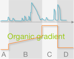 HPLC preparative chromatogram with gradient elution
